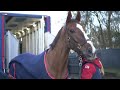A Day at The Races For Our Horses