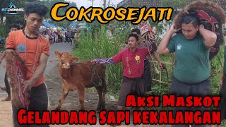 🔴 penonton semburat diobrak-abrik punggawa Cokrosejati || live ngembal Wajak