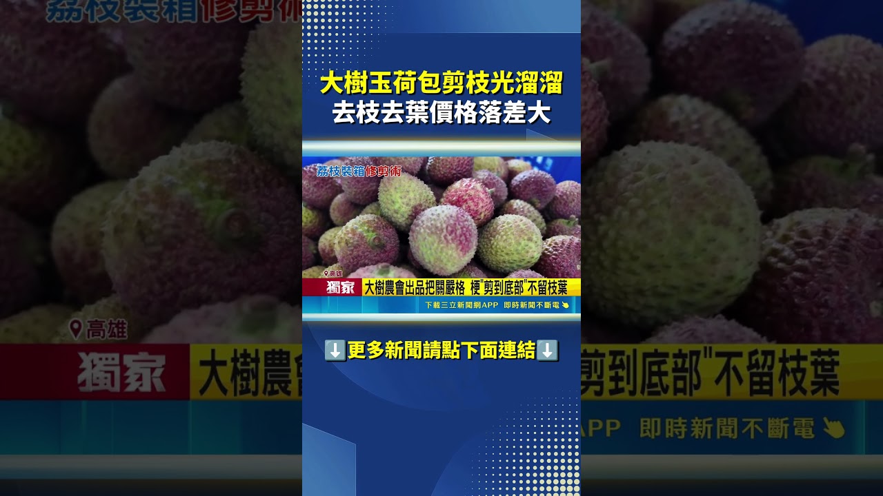 大樹玉荷包剪枝光溜溜 去枝去葉價格落差大 #三立live新聞 #shorts