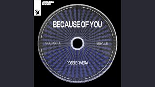 Because of You (Extended Mix)