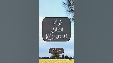 سورة الضحى الآية ٩ الى ١١ بصوت الشيخ محمد صديق المنشاوي