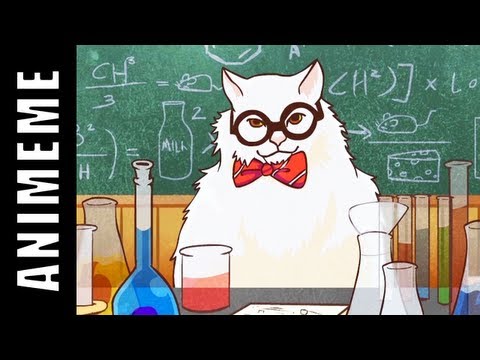 chemistry-cat