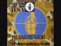 Sons of Ilsa -- Pulsingers Nacht