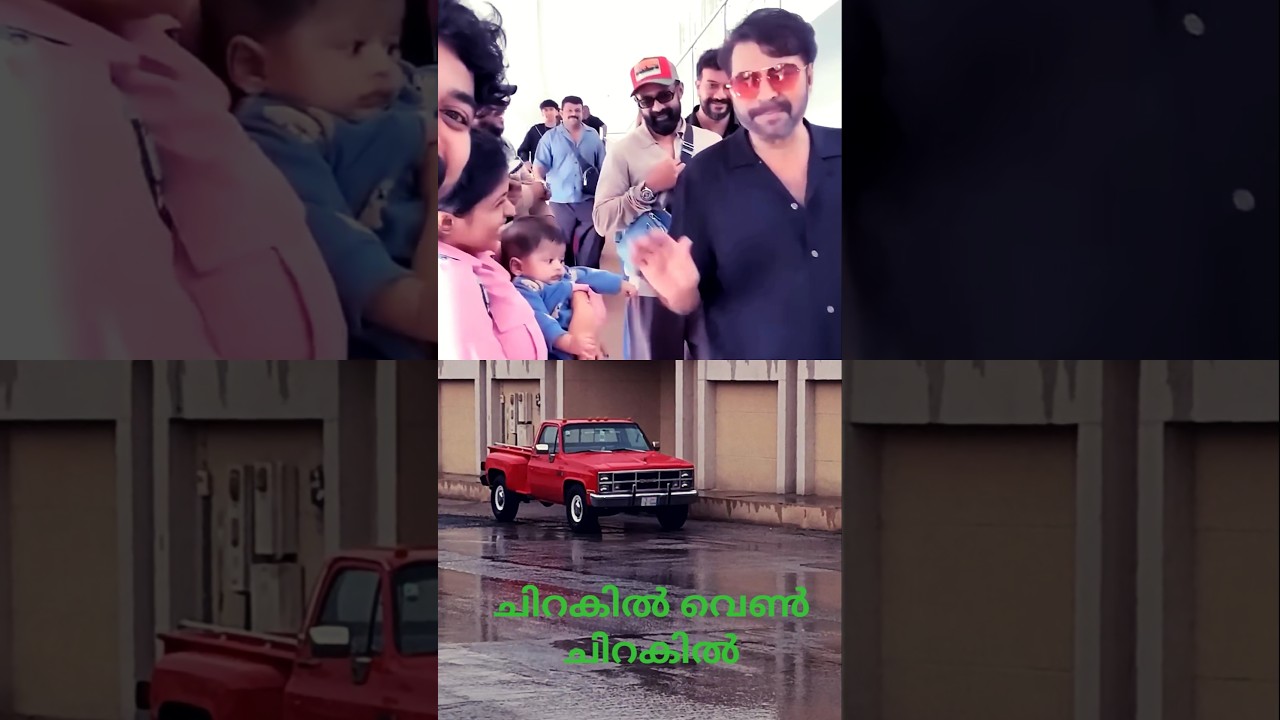 ❤️ഒരു മനോഹര കാഴ്ച