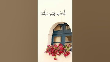 سورة المدثر #القران #القران_الكريم #المصحف #اكسبلور #لايك #تيك_توك