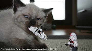 useR! International R User 2017 Conference Solving iteration problems with purrr