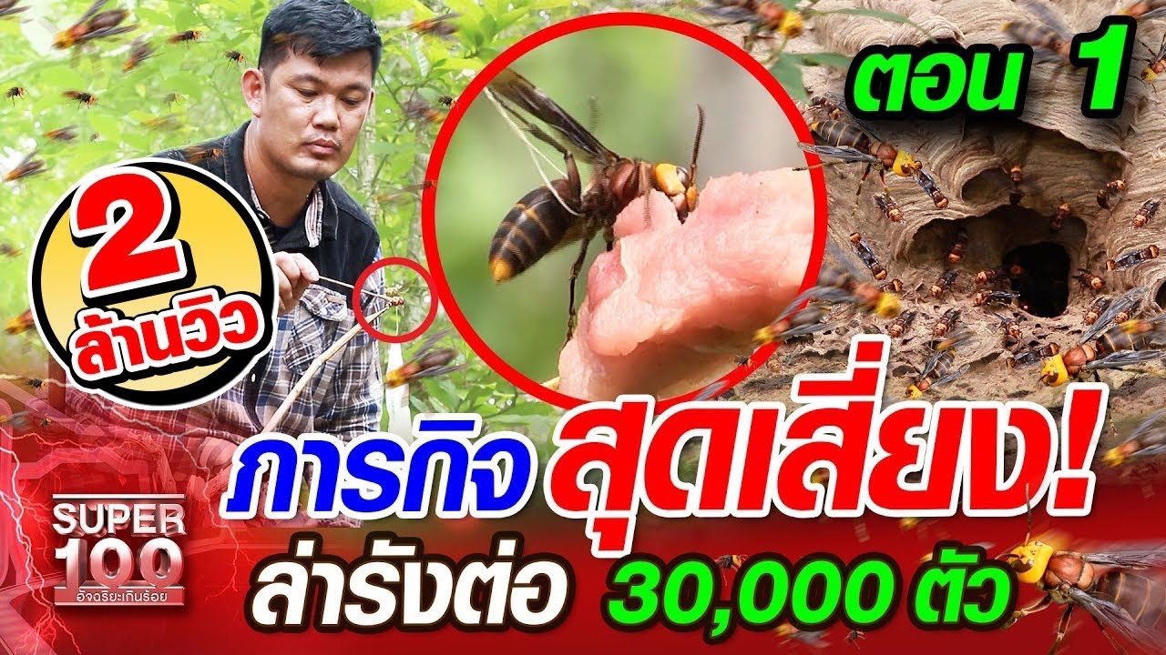 [Eng Sub] ตอน 1 | จิต ภารกิจสุดเสี่ยง! ล่ารังต่อ 30,000 ตัว | SUPER100
