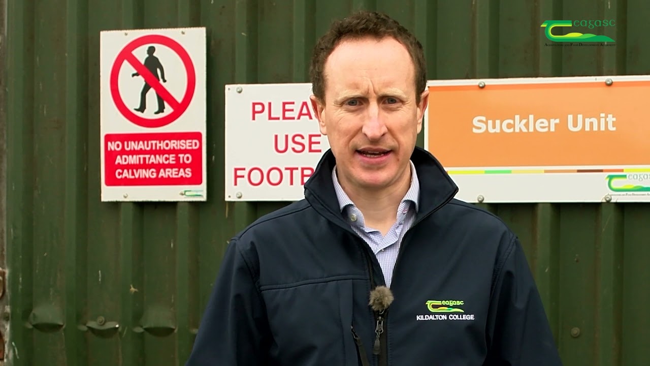 Farm Livestock Safety with Jamie Cahill - Farm Walk and Talk