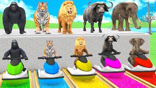 Funny 3D Animals Long Slide Water Park Game! 🦒🐘 3D Animal Animation | GTA KING 3D USA screenshot 5