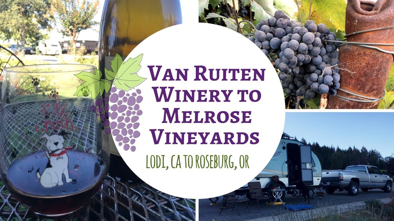 Oregon Camping Trip / Van Ruiten Winery in Lodi, CA to Melrose Vineyards in Roseburg, OR