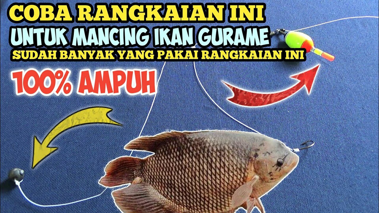 CARA MUDAH MEMBUAT RANGKAIAN PANCING IKAN GURAME || TEHNIK PELAMPUNG