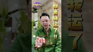 每一個厄運的背後都代表著⋯#shorts