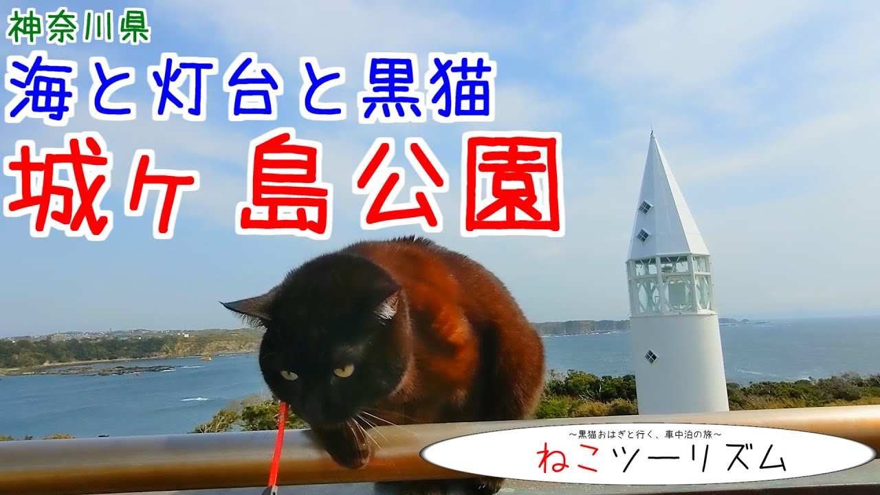 猫と旅行 三浦半島 城ヶ島公園 神奈川県 Youtube