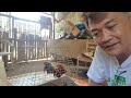 Pointing sa araw ng laban. Disclaimer no animals were harm in the making of this video