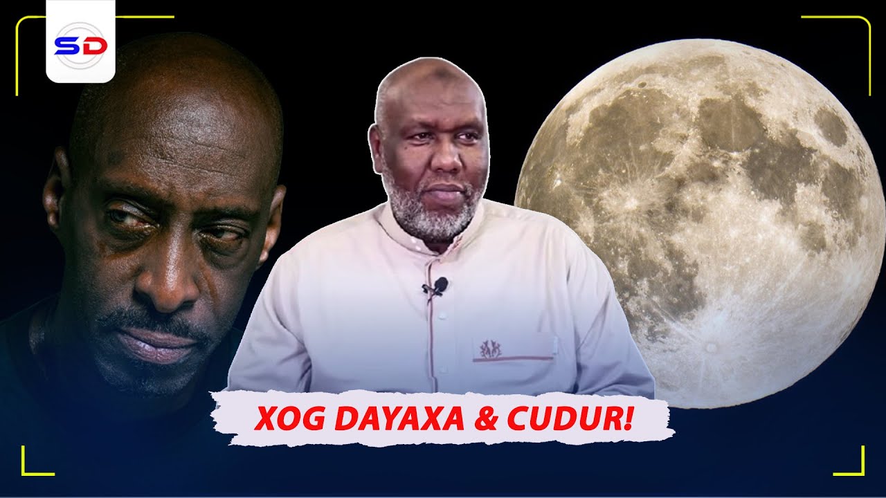 Xog La Ogaadey Xidhiidh Ka Dhexeeya Cudurada Macaanka Dhiigkarka & Dayaxa | Sh Cabdiraxmaan Bashiir