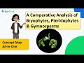 Bryophytes pteridophytes and gymnosperms  plant kingdom  class11biology