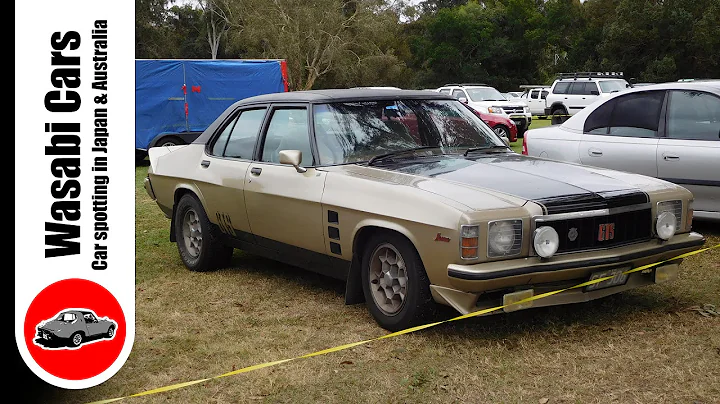 Car Park Find: Antelope Metallic HX Holden Monaro GTS