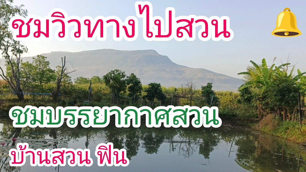 เก็บผักในสวนชมบรรยากาศดีๆ