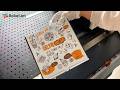 Automatic Pizza Box Inkjet Digital Printer With Epson Print Head
