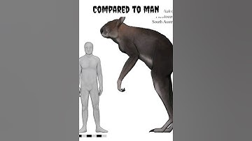 Procoptodon #youtubeshorts #ytshorts #shortsfeed #facts #foryou #trending