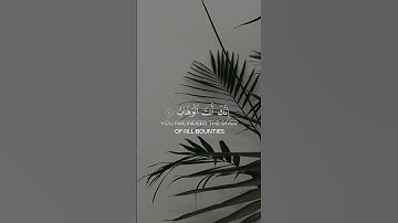 اللهم اجعل القرآن الكريم ربيع قلوبنا ونور صدورنا 🤲🏻 #اكسبلور #القران_الكريم #تيك_توك #قرآن #تلاوات