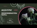 МК ПО РОЗЕ ИЗ ХОЛОДНОГО ФАРФОРА: Часть 4, финальная