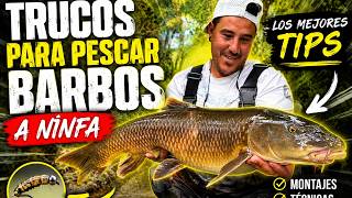 🔥 CÓMO PESCAR BARBOS A NINFA: LOS TRUCOS QUE NADIE TE CUENTA