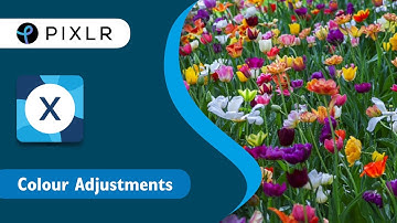 Quick & Easy Series: Color Adjustments in Pixlr X