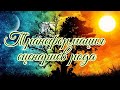 Какие сценарии рода вы завершили, а что ещё предстоит 🔮