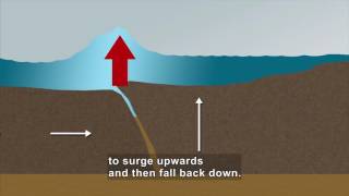 Science Video Vocab: Tsunami (Accessible Preview)
