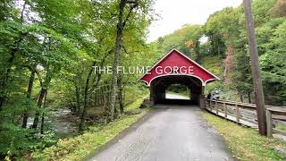 2022/09 The Flume Gorge, New Hampshire