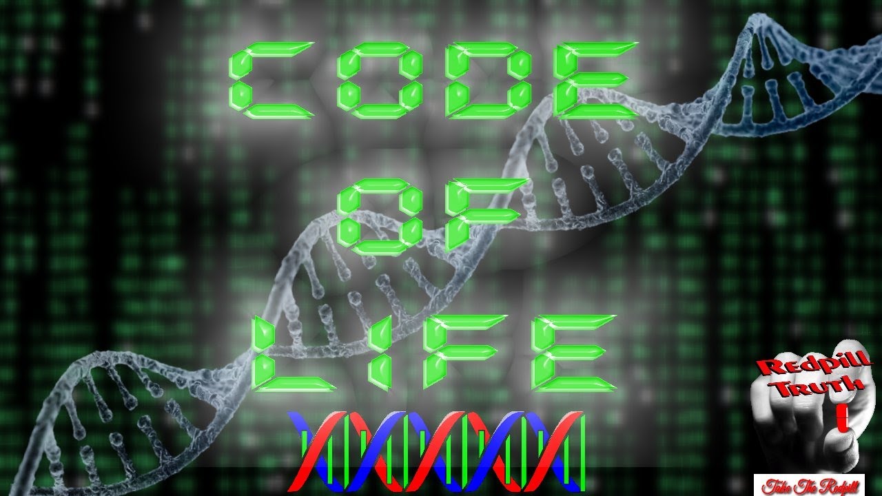 Code of Life - YouTube