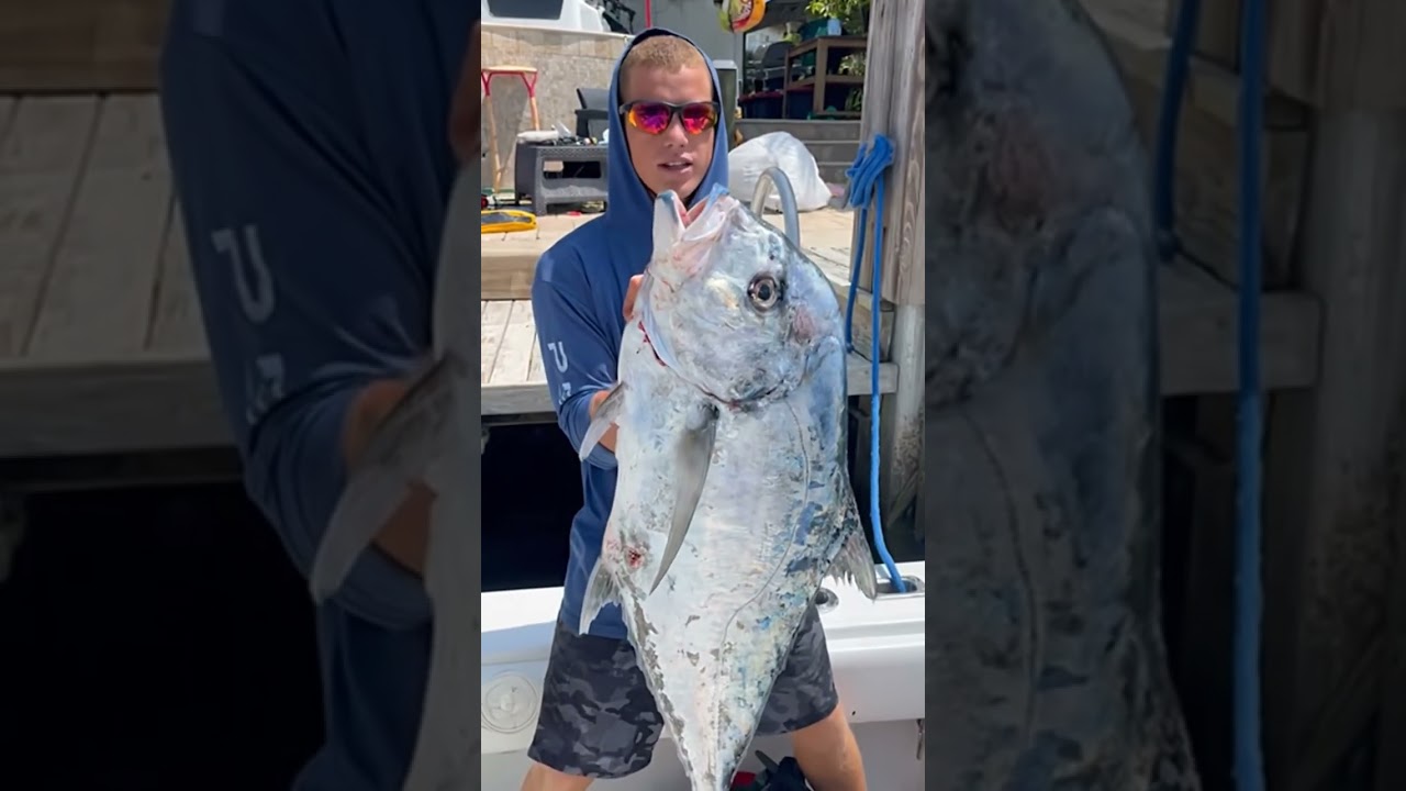 MONSTER Jack Crevalle Caught! 🤯🐟 Fisherman Struggles to Hold this GIANT Fish!