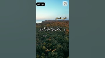 الآية 67 و68 من سورة الزمر الشيخ خالد جليل