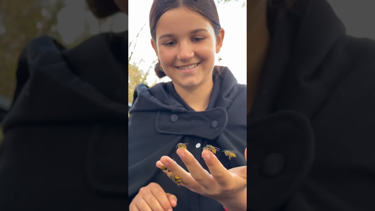 Bees of Salem | Bee Whisperer | Halloween | Honey Bee