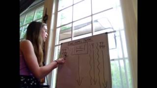 Number System Project