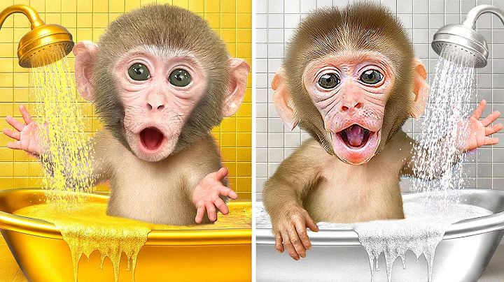 KIKI Monkey in challenge Gold vs Silver Bathtub with His Duck Friend | KUDO ANIMAL KIKI