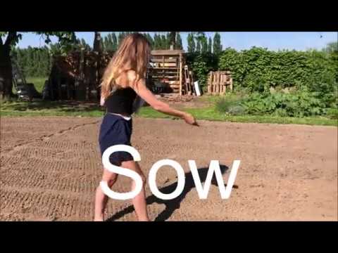 Sowing Covercrop | Phacelia & Tagetes | 2020 | *Fixed Audio*