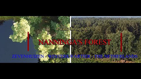 'NANNINGA'S FOREST' - Zevenhuizen - The Netherlands