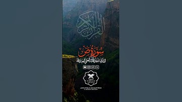 "لحظة خشوع.. سورة ص بأسلوب المنشاوي! 🌙"