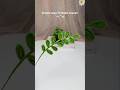 Simple leaf tutorial - how to make a leaf with pipe cleaners #handmade #diytutorial