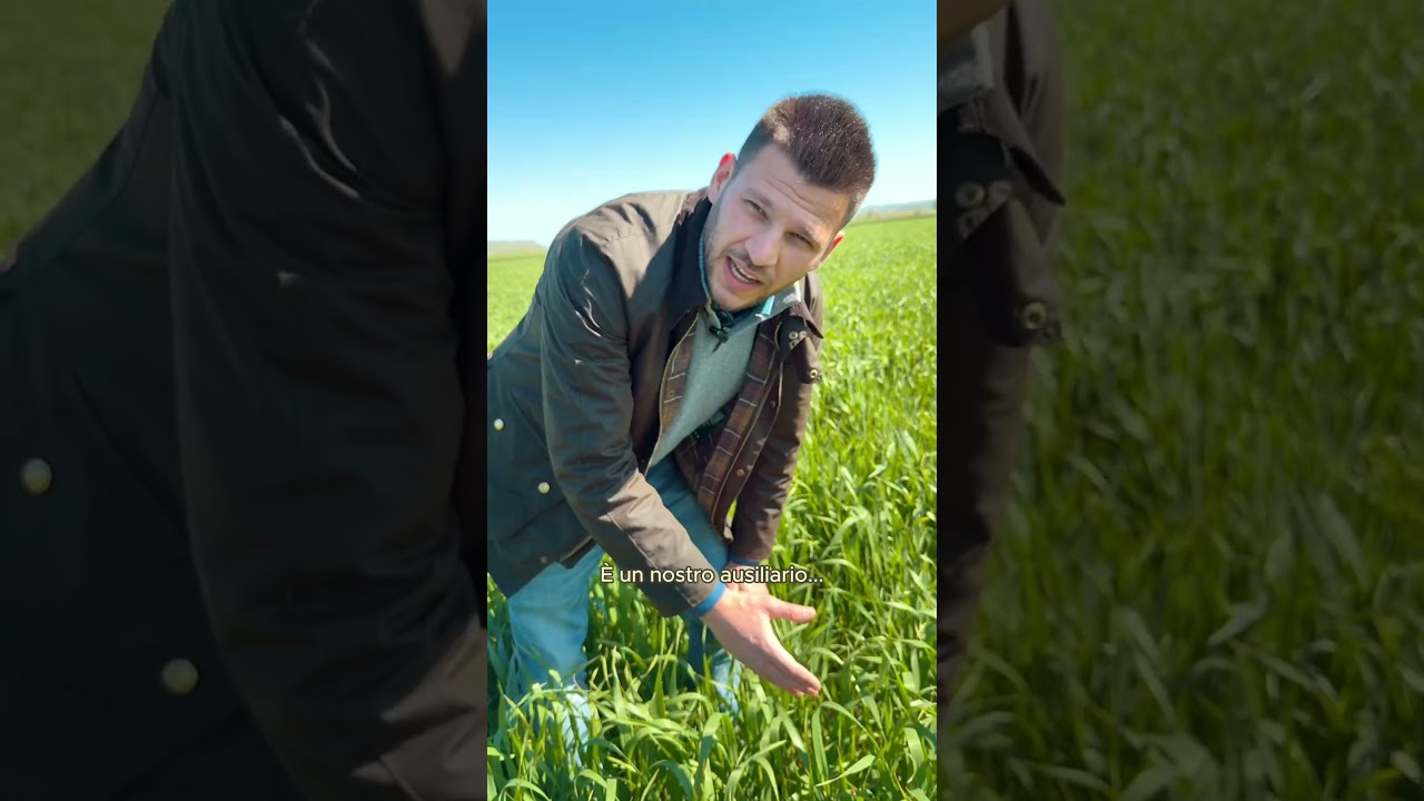 From Molise, with Love 🤎