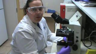 VETT 222- Task 16