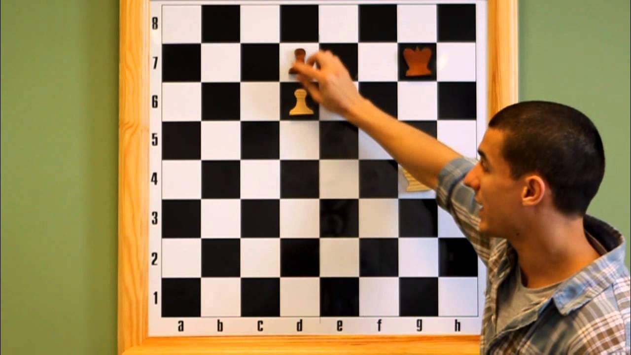 Шахматная школа марата сулейманова. Уроки шахмат для начинающих. Шахматы секция для детей. Уроки шахматных игр. Уроки шахматных игр.