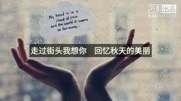 想你想你   王欣婷