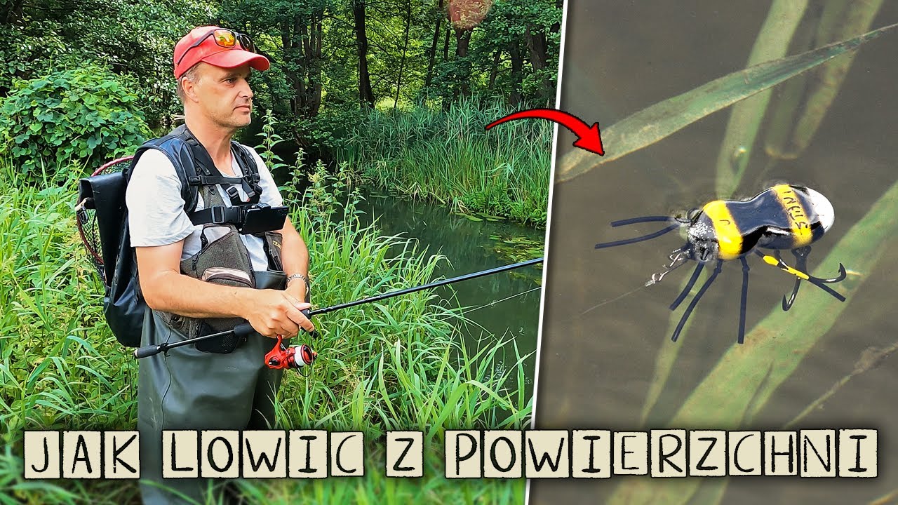 JAK ŁOWIĆ DUŻE RYBY na "SMUŻAKI" ?