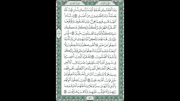 الصفحة 46 من القران الكريم #صفحات_النور بصوت الشيخ أحمد عيسى المعصراوي  #المصحف