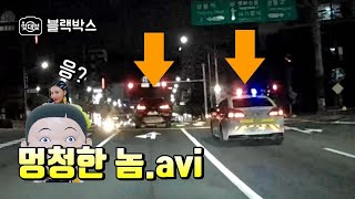 멍청한 X.avi 2019.10월 세번째 블랙박스 모음집 [블박맛ZIP][몇대몇 블랙박스]