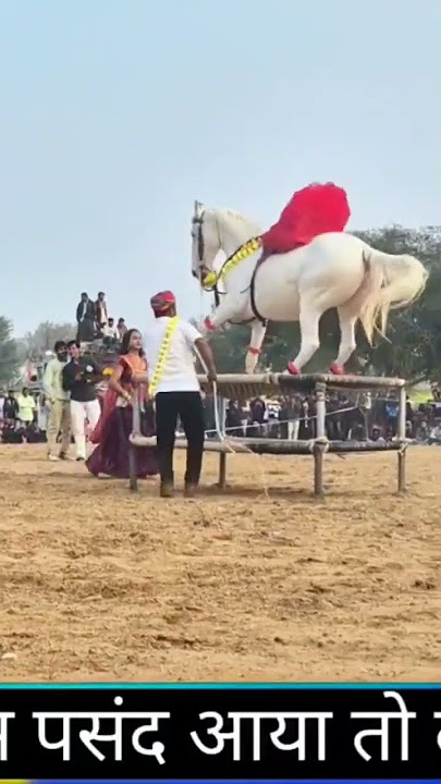 Amezing 👌 horse 🐎 dance video #dj #song #sad #love #horse #horsetrancedance #horsetrack
