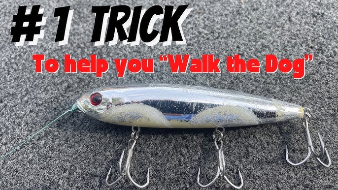How To Fish A KVD Sexy Dawg 